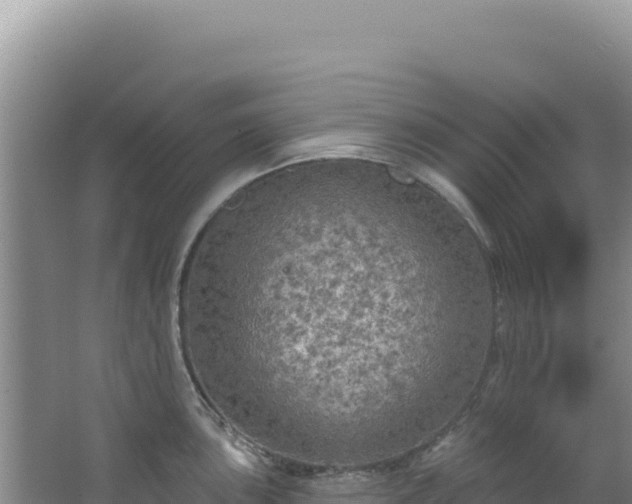 X0000064741051200602131311