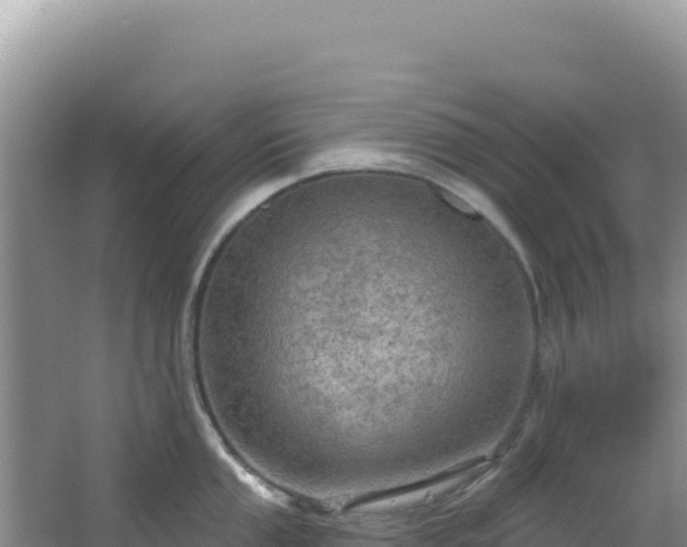 X0000064741053200602131311