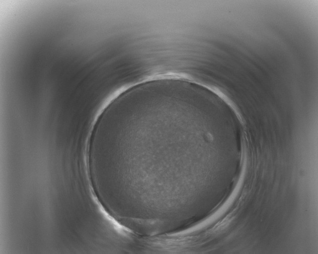 X0000064741054200602131311