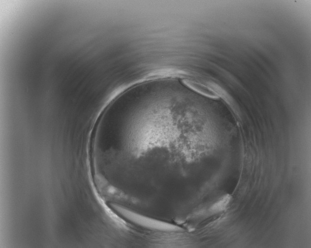 X0000064741055200602131311