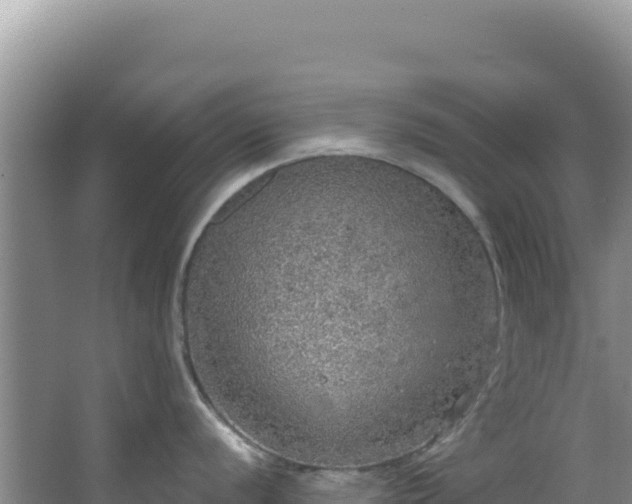 X0000064741056200602131311