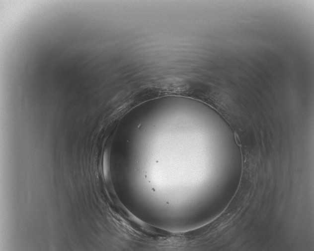 X0000064741058200602131310