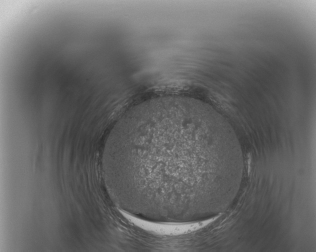 X0000064741059200602131310