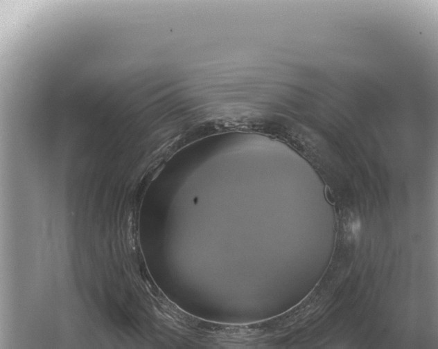 X0000064741060200602131310