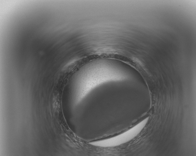 X0000064741063200602131310