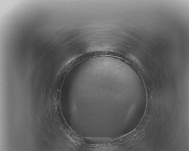 X0000064741064200602131310