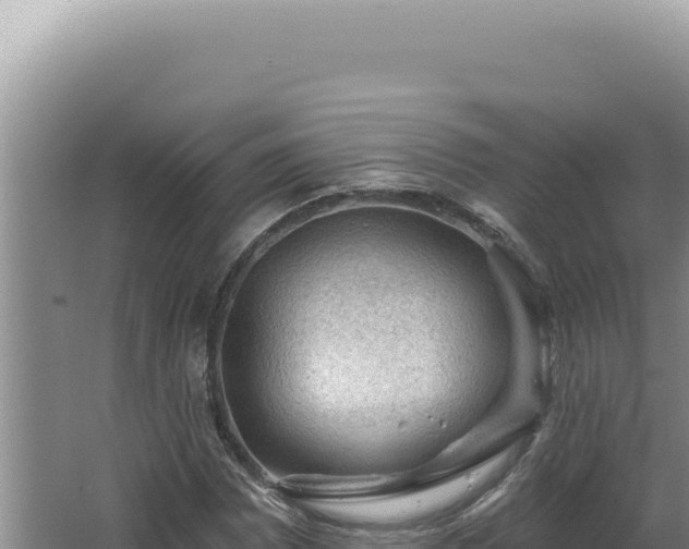 X0000064741065200602131310