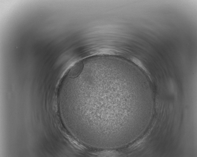 X0000064741067200602131310