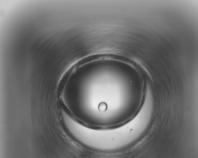 X0000064741069200602131310