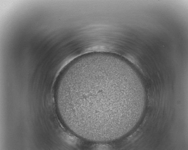 X0000064741070200602131310