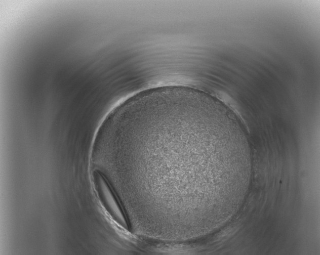 X0000064741072200602131310