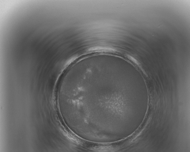 X0000064741074200602131310