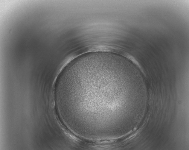 X0000064741075200602131310