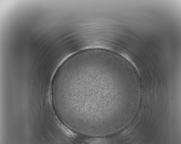 X0000064741076200602131310