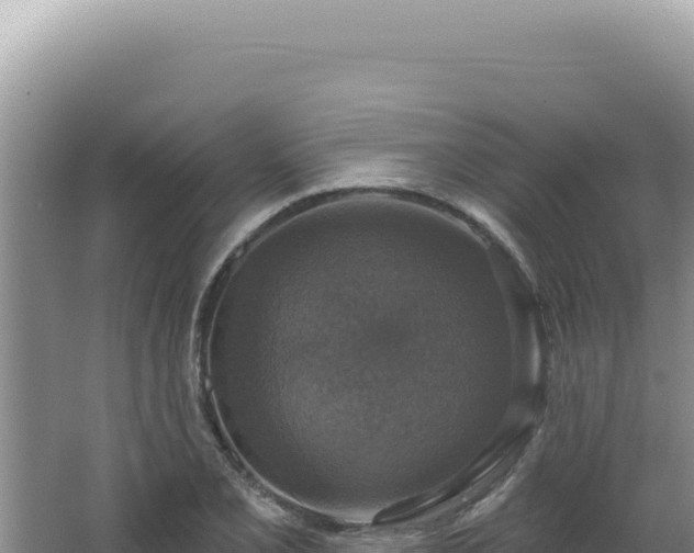 X0000064741077200602131310