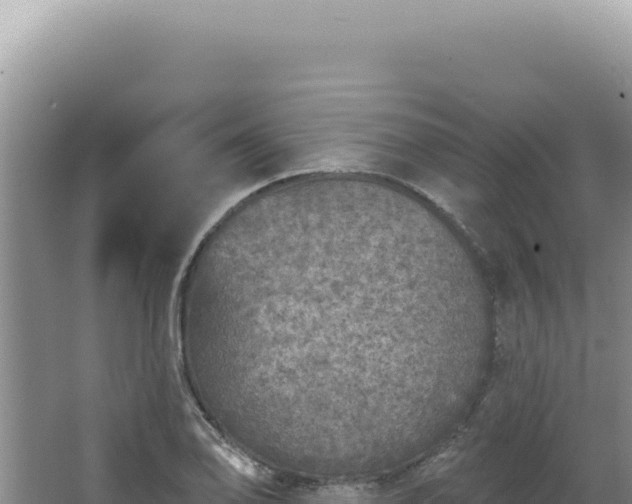 X0000064741078200602131310