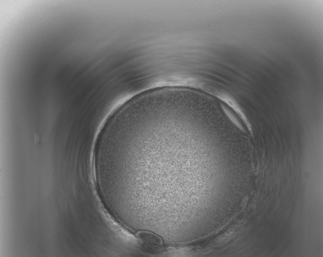 X0000064741080200602131310