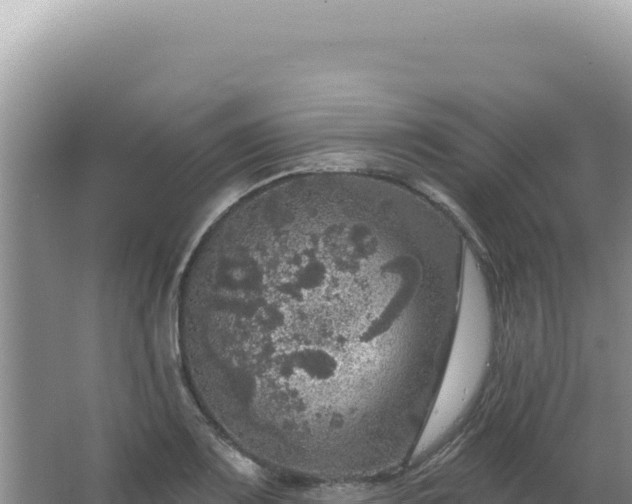 X0000064741083200602131310