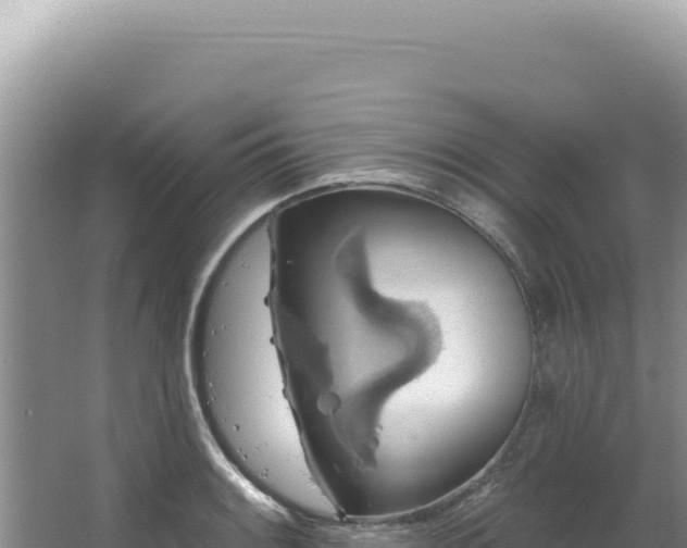 X0000064741084200602131310