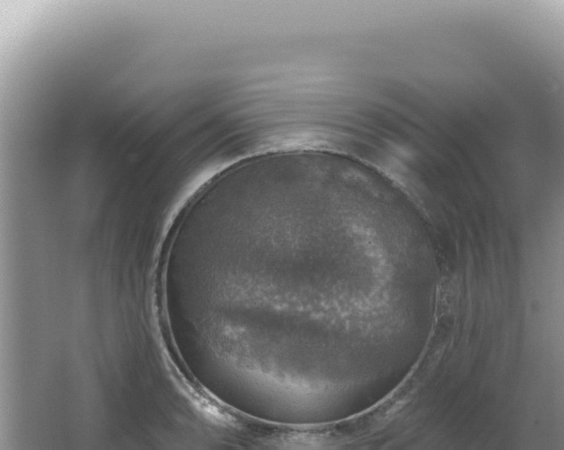 X0000064741086200602131310