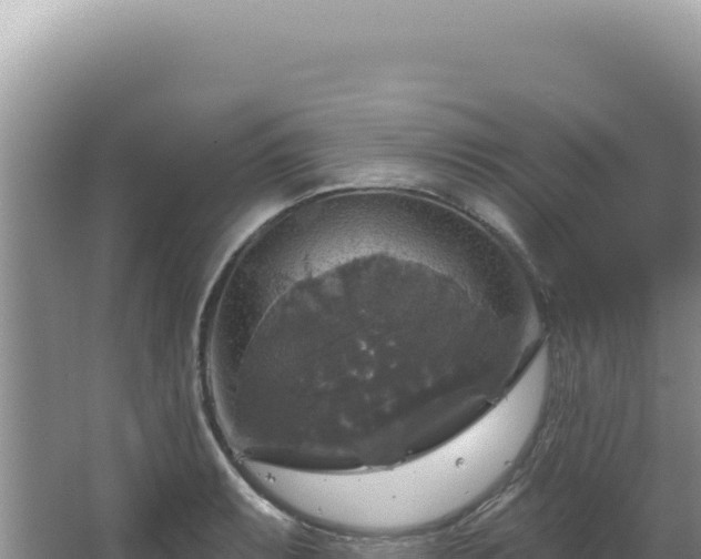 X0000064741087200602131310