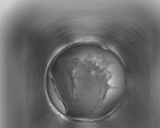 X0000064741088200602131310