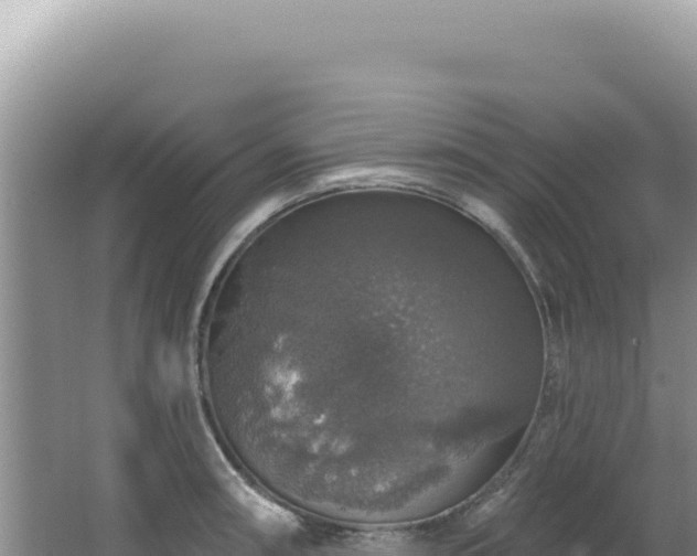 X0000064741090200602131310