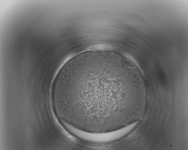 X0000064741091200602131310