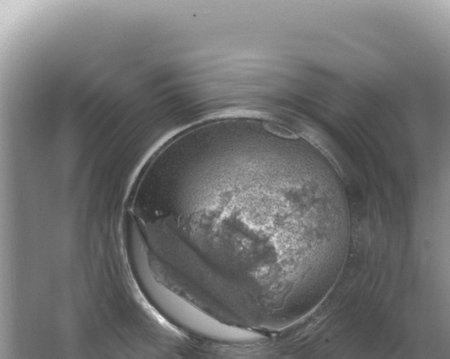 X0000064741092200602131310