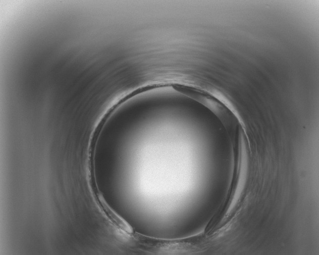 X0000064741093200602131310