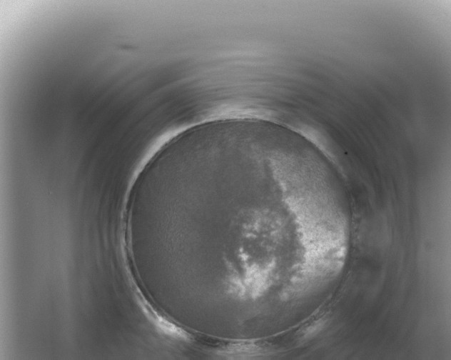 X0000064741094200602131310