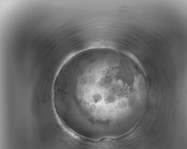 X0000064741096200602131310