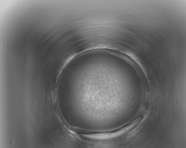 X0000064741097200602131310