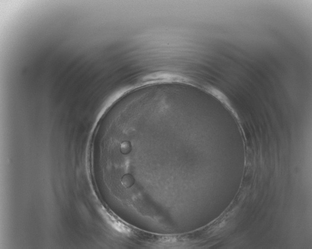 X0000064741098200602131310