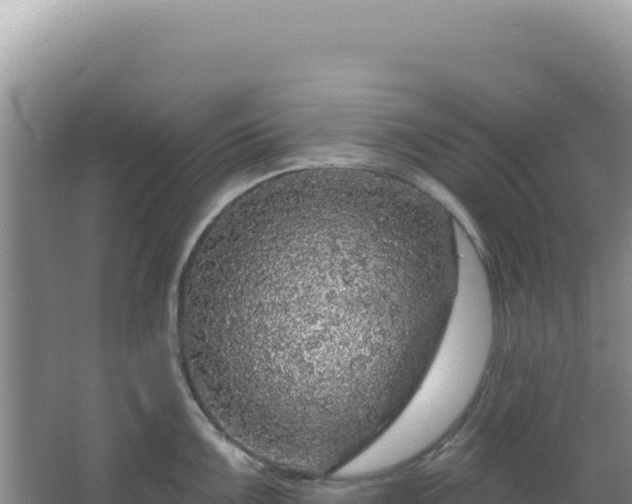 X0000064741099200602131310