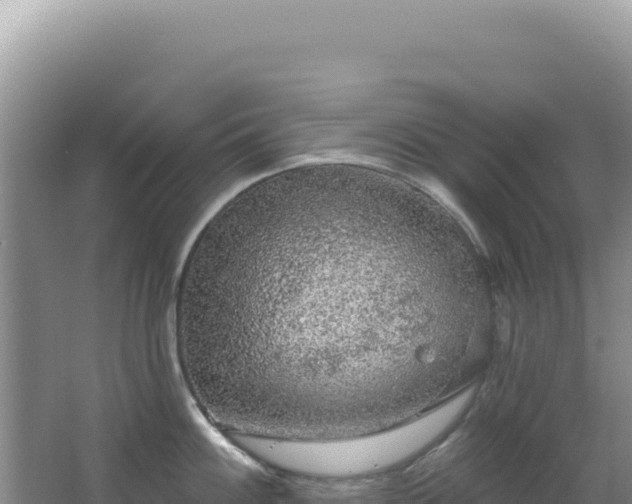 X0000064741100200602131310