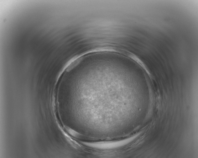 X0000064741101200602131309