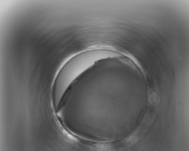 X0000064741102200602131309