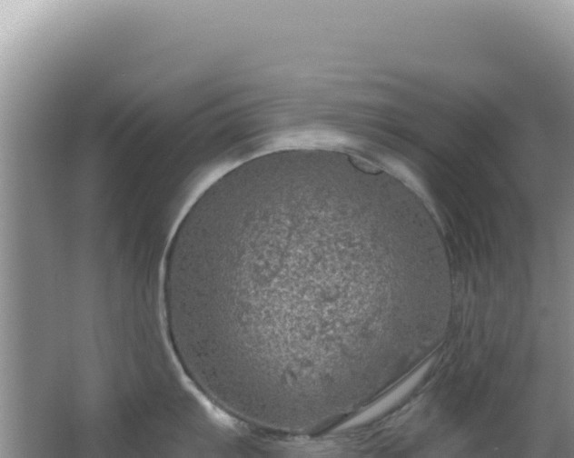 X0000064741103200602131309