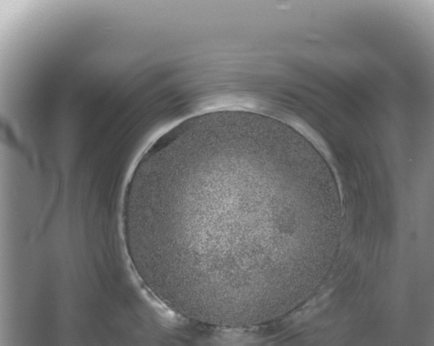 X0000064741104200602131309