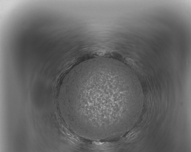 X0000064741105200602131309