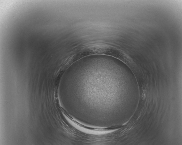 X0000064741108200602131309