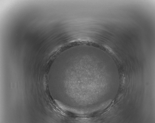 X0000064741110200602131309