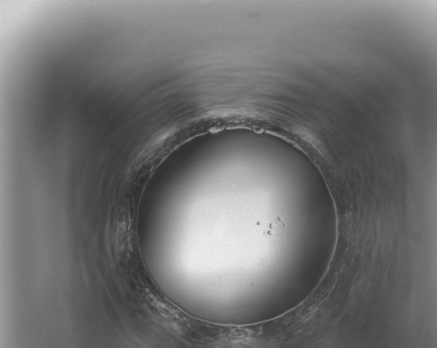 X0000064741111200602131309