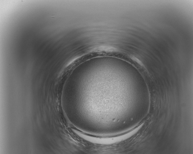 X0000064741112200602131309