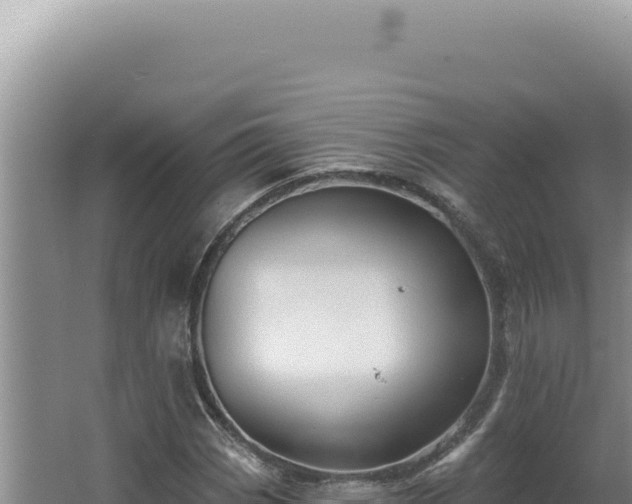 X0000064741113200602131309