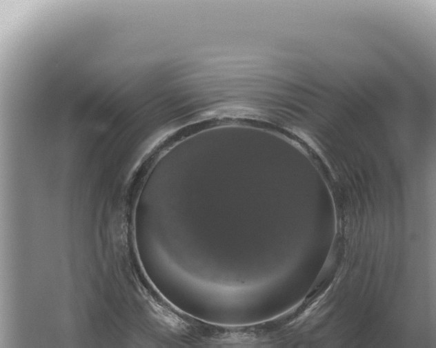 X0000064741115200602131309