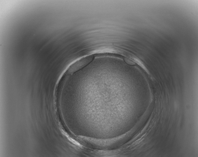 X0000064741116200602131309