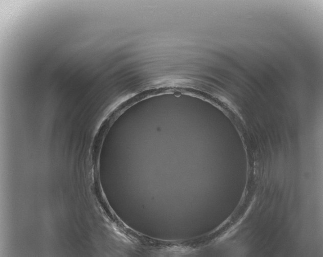 X0000064741117200602131309