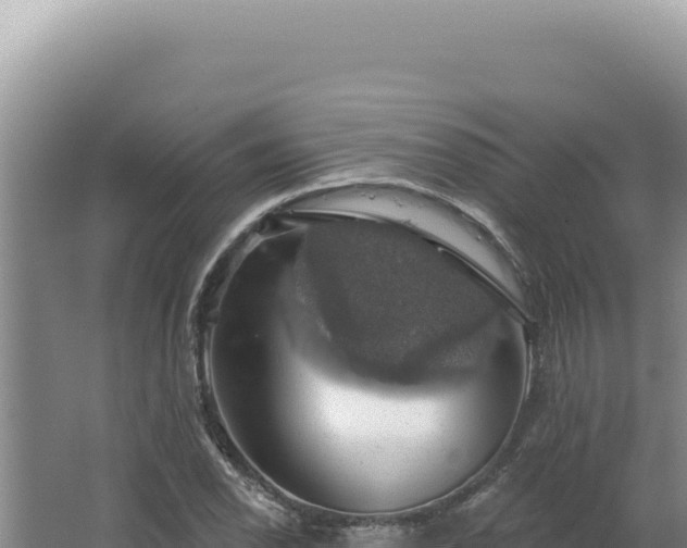 X0000064741118200602131309